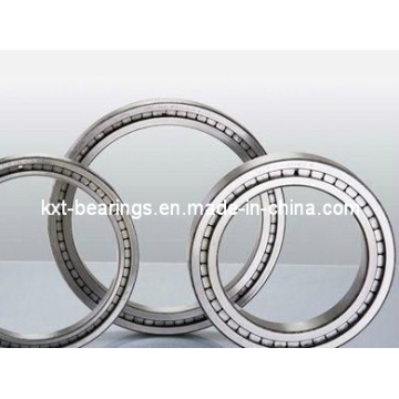 SL1818/1000 Full Complement Bearing